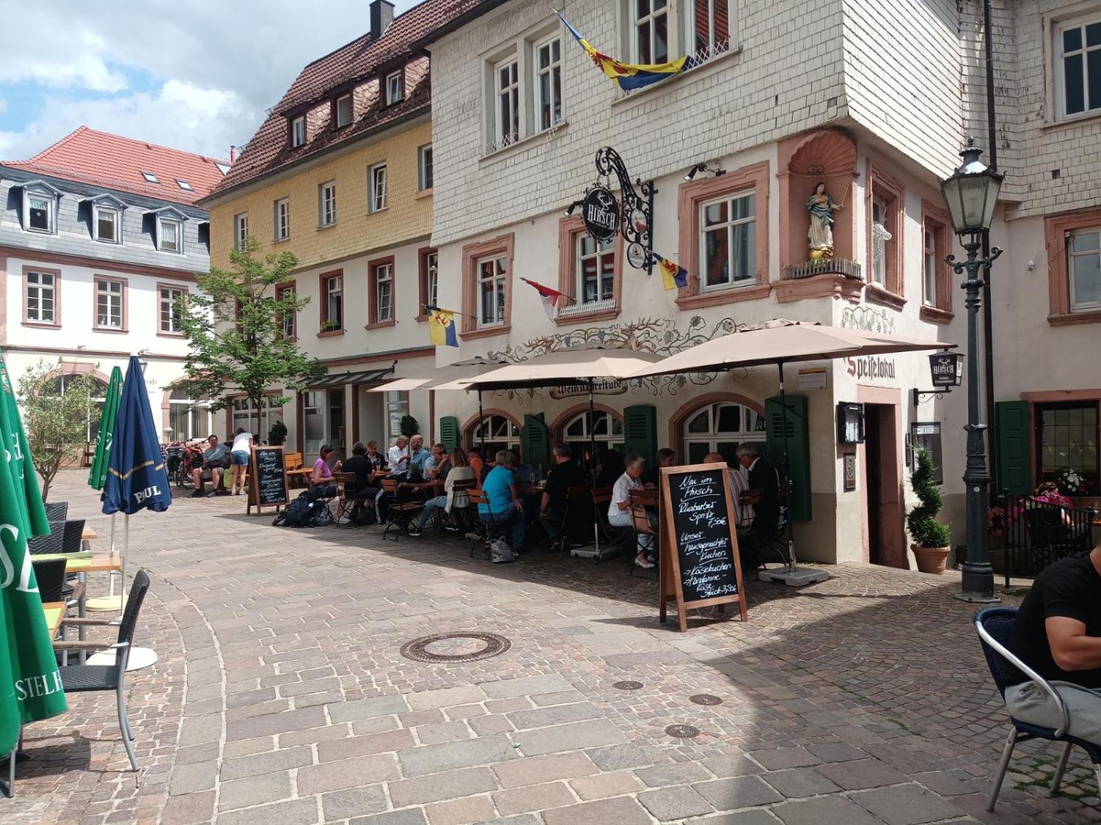 Appartement Schlossberg, Gasthaus Hirsch Hirschhorn Kültér fotó